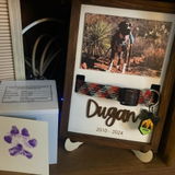 Boho Chic Pet Memorial Photo Sign for Stylish Home Decor E84