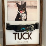 Boho Chic Pet Memorial Photo Sign for Stylish Home Decor E84