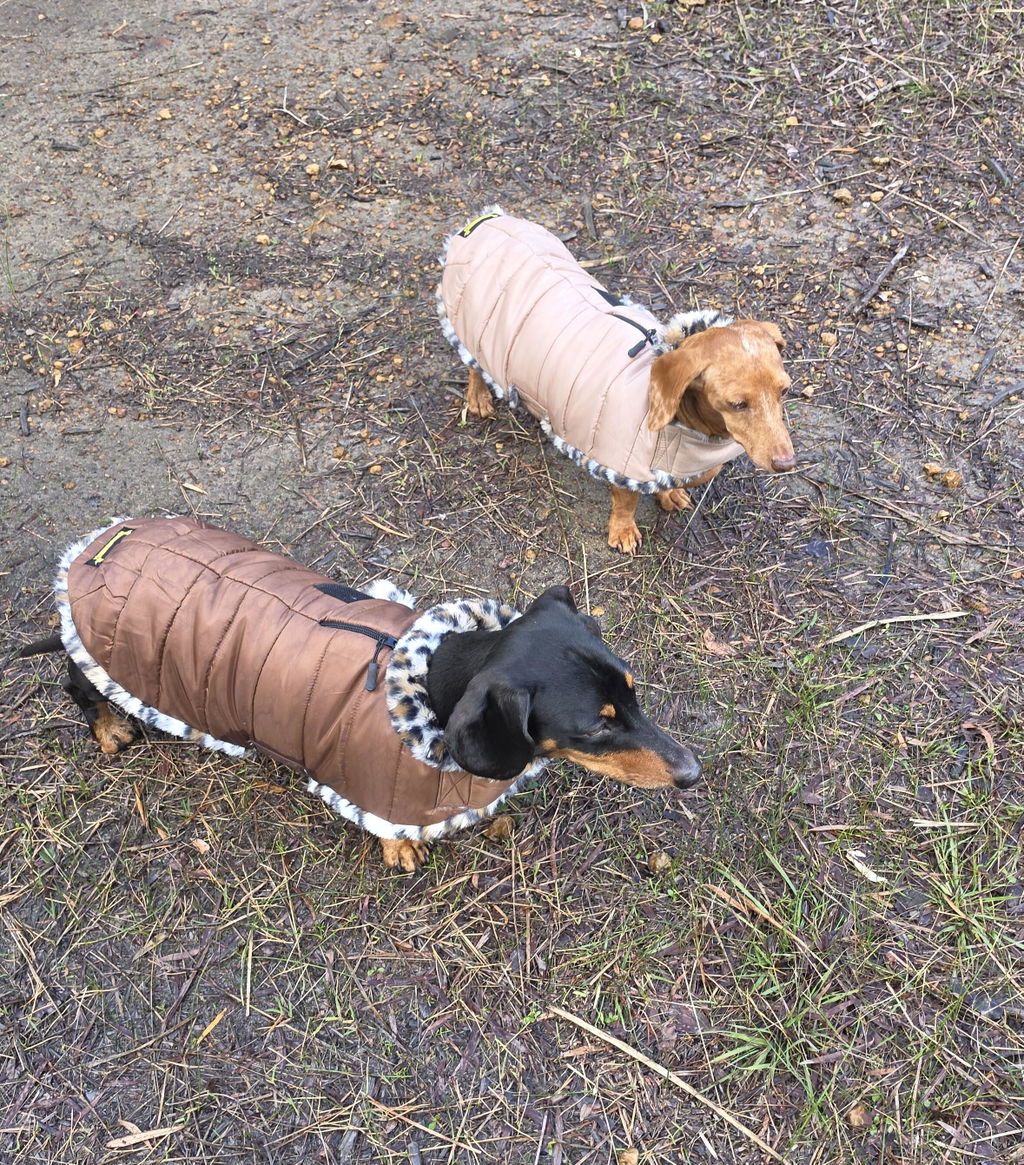 Espresso Leopard Luxe Puffa Coat