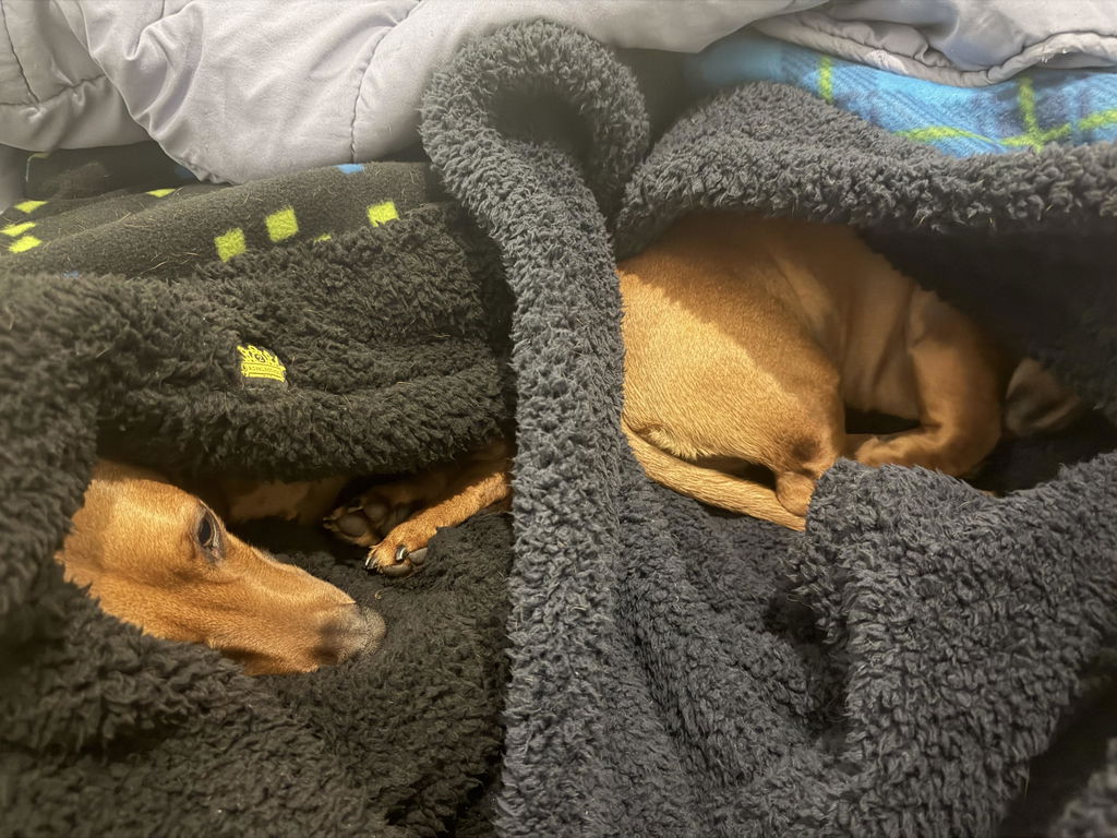 Night Lights Sherpa Snuggle Sack