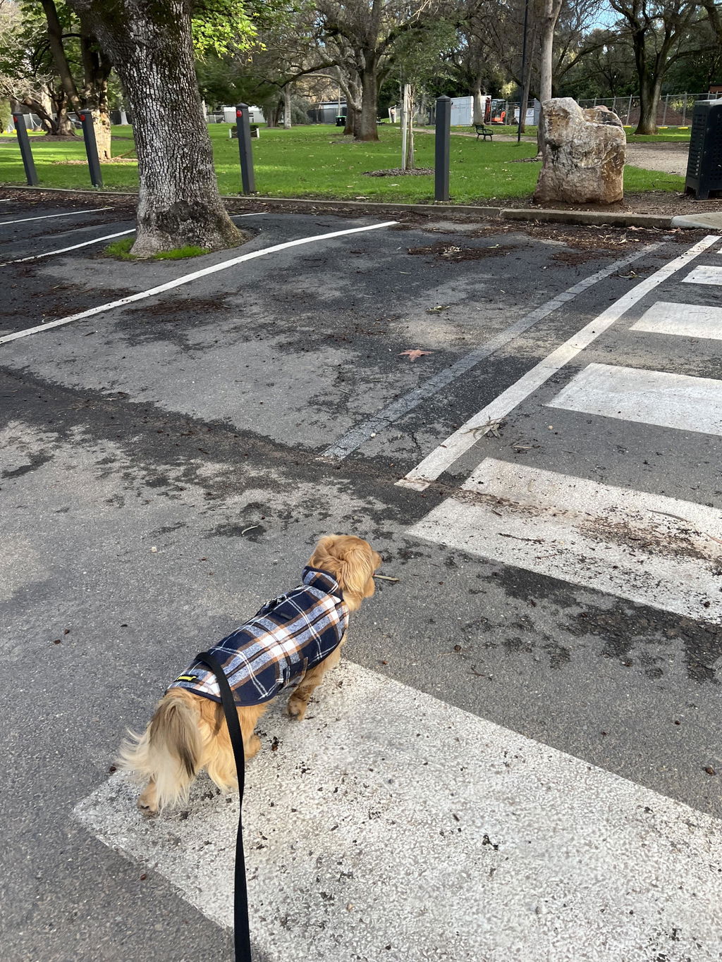 Kensington Heritage Tartan Coat