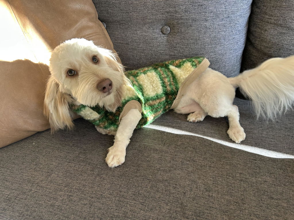 Teddy Bouclé Royal Romper – Apple Green Plaid Dachshund Jumper