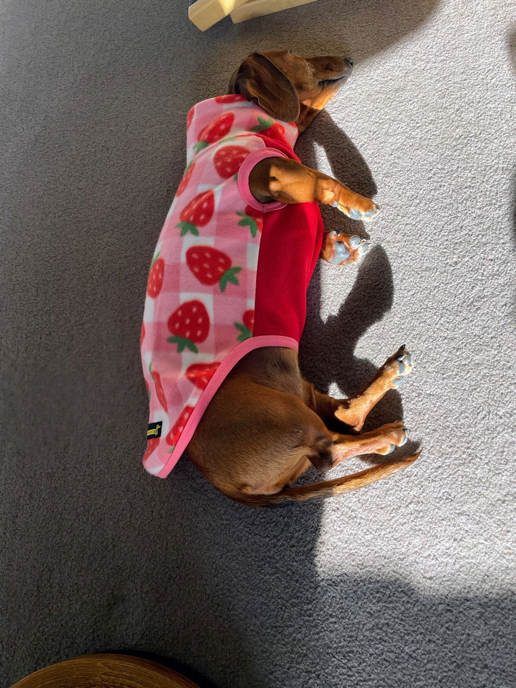 Strawberry Fields Polartec®  Fleece Turtleneck Romper