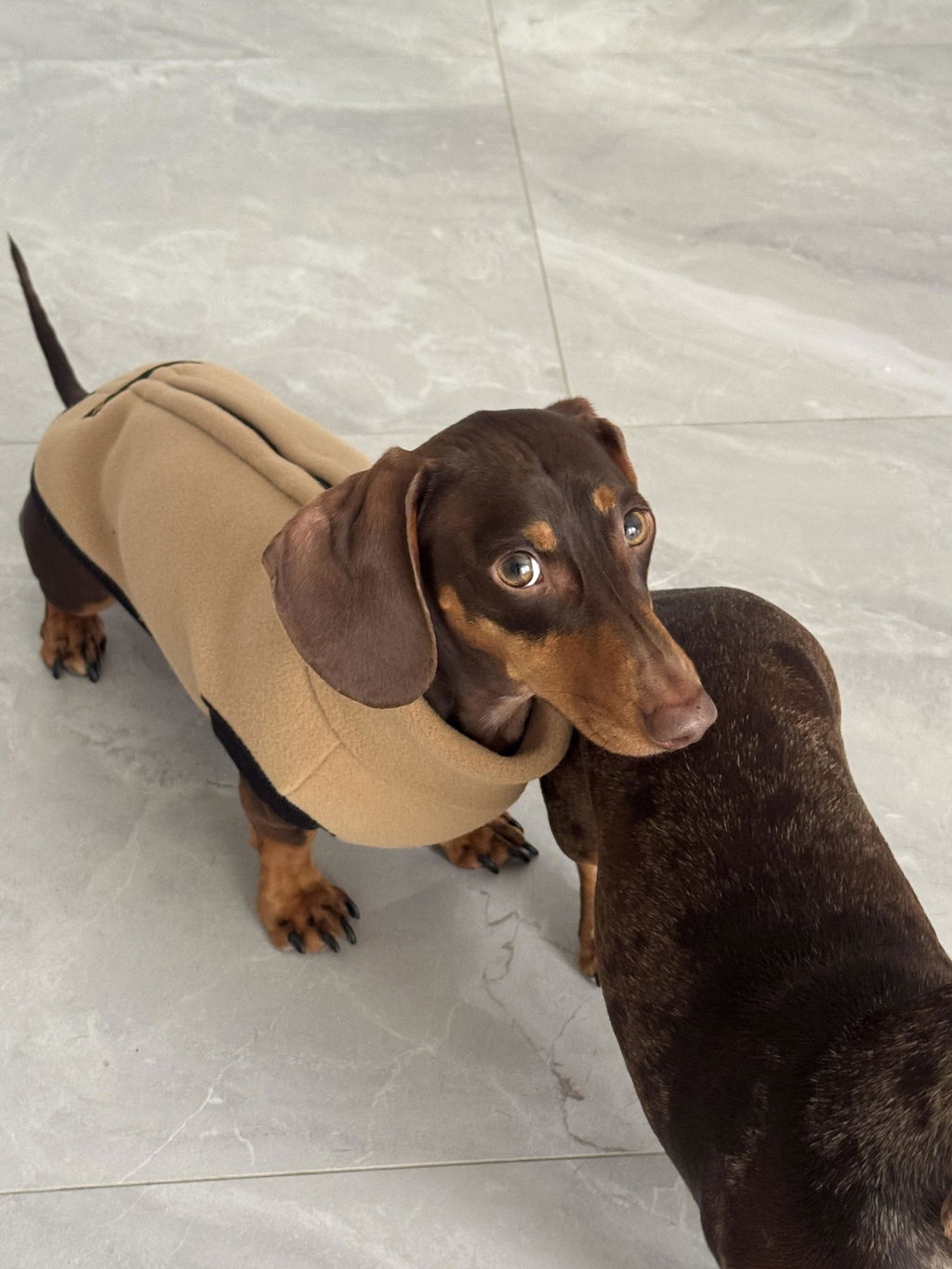 Lavender Haze OxyMesh Reflective Hug Me Harness™