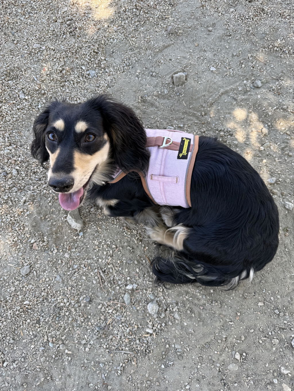 Soft Pink Denim Hug Me Harness™