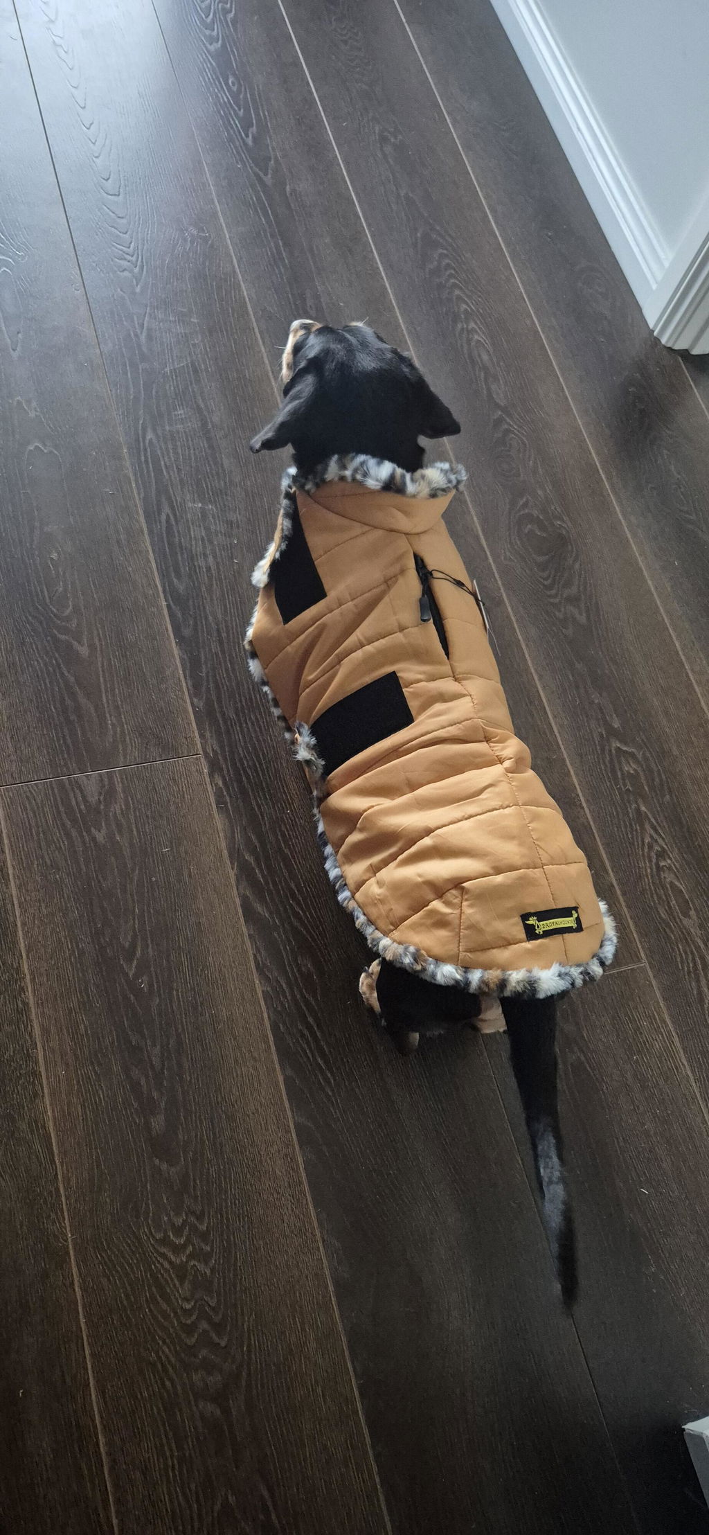 Golden Leopard Luxe Puffa Coat