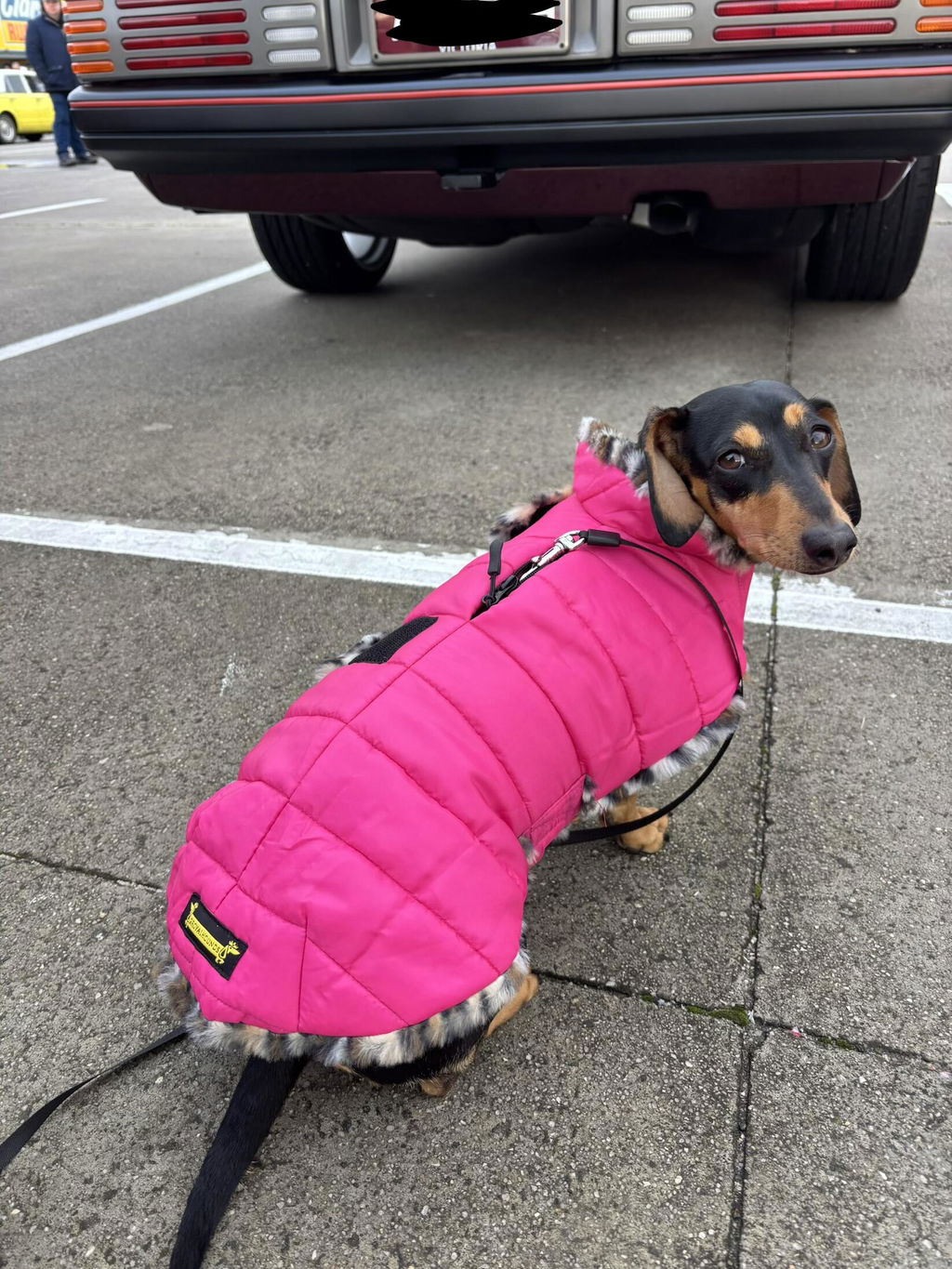 Rose Pink Leopard Luxe Puffa Coat