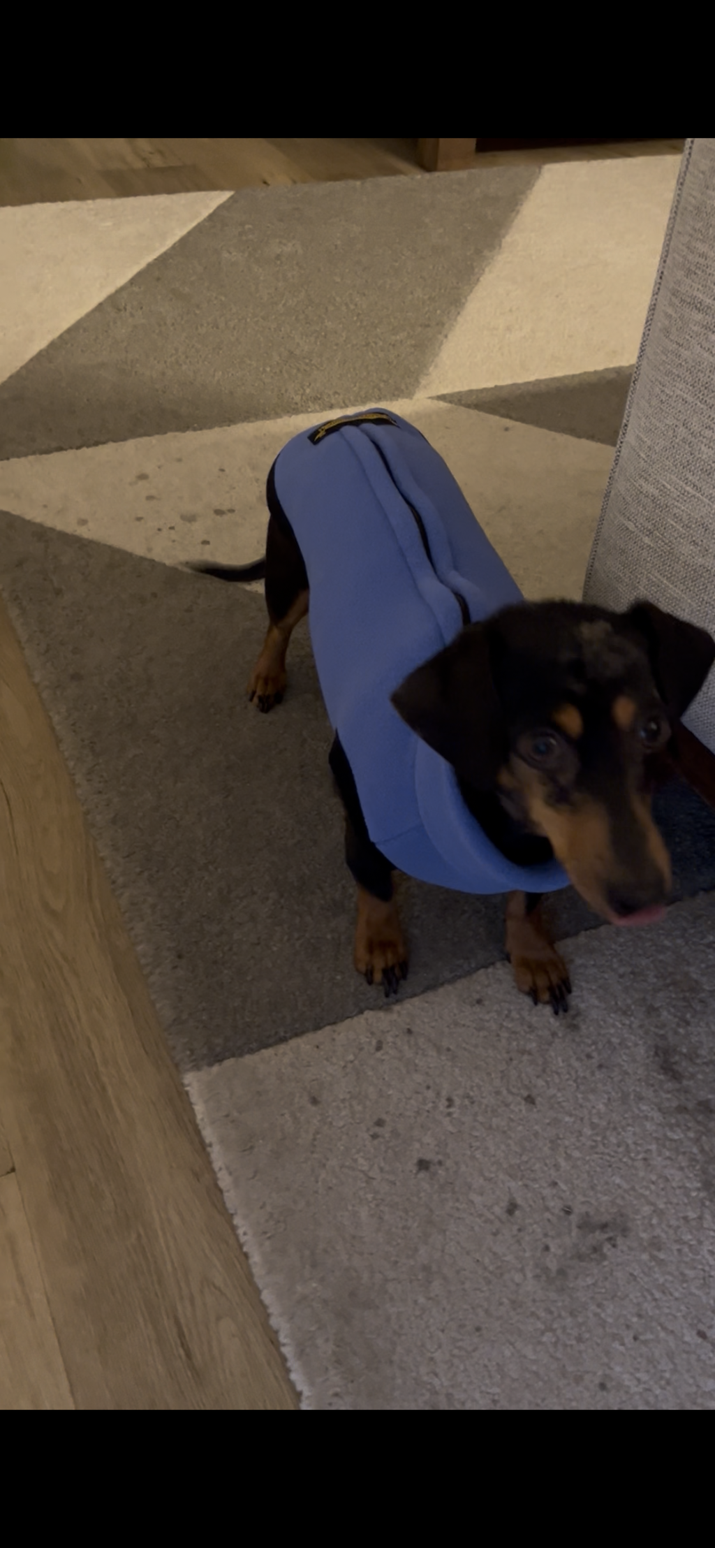 French Blue Polartec®  Fleece Romper