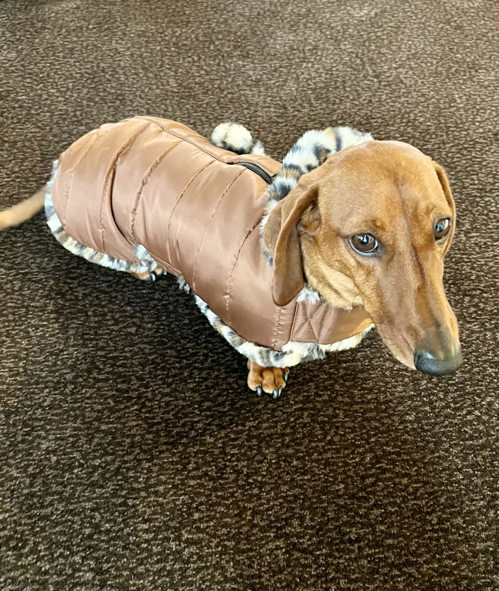 Espresso Leopard Luxe Puffa Coat