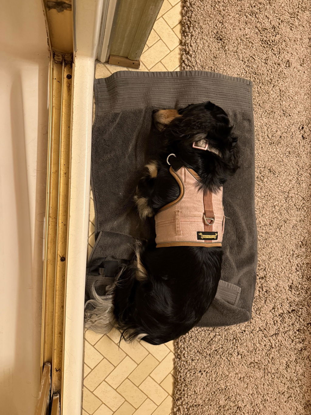 Pink Gingham Hug Me Harness™