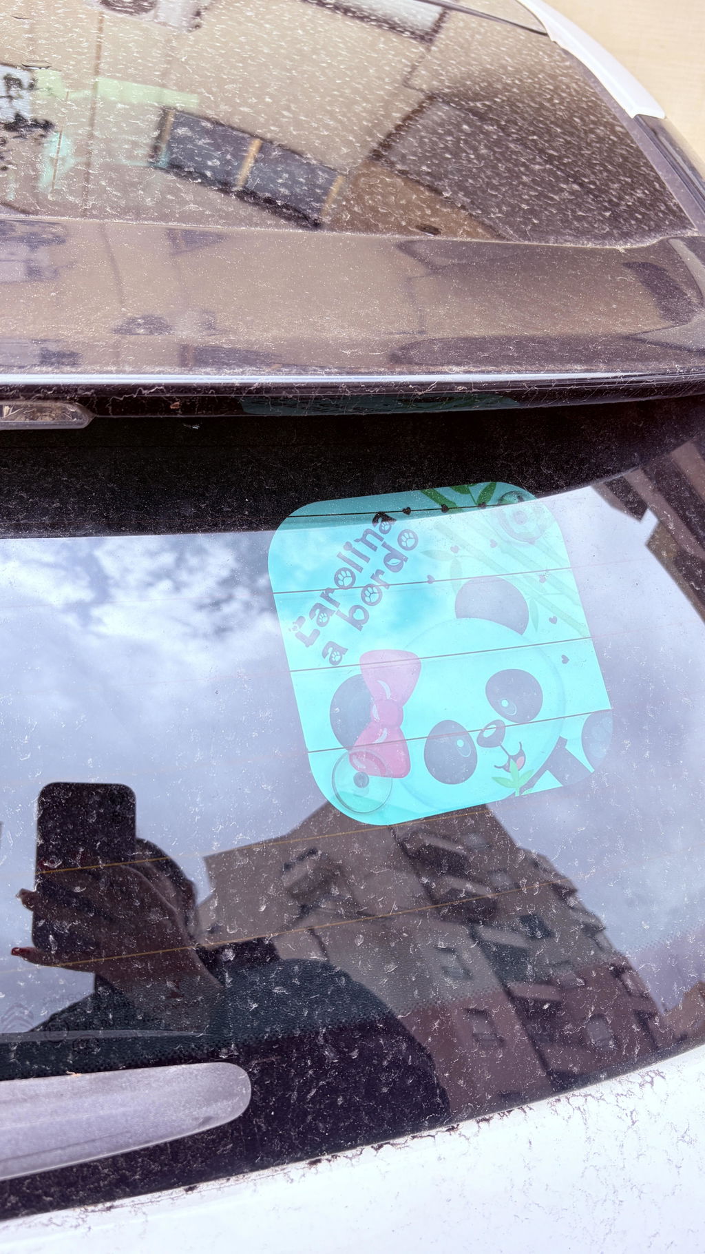 Tapa-sol e/ou placa para carro "Panda"