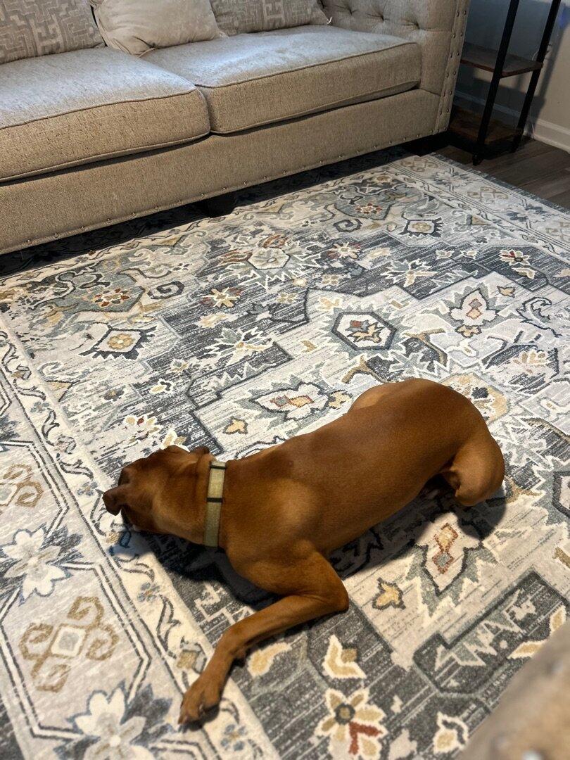 YUIlili Non-Slip Machine Washable Grey Yellow Cream Area Rug For Living Room, Hallway Runner, Entryway Rug #AZJL90