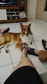 User picture