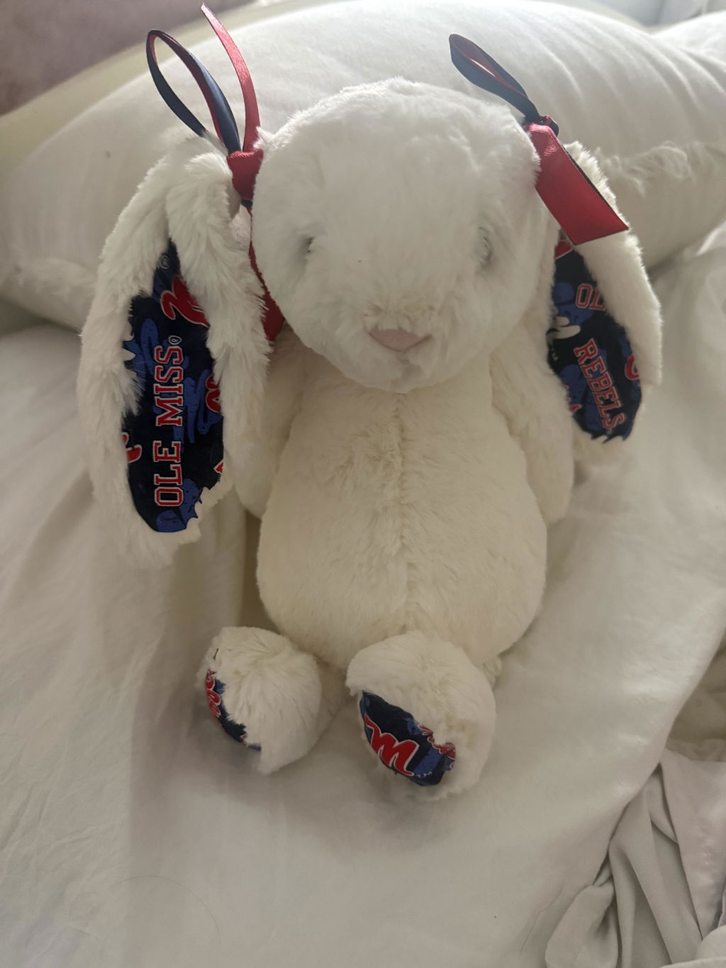 University of Mississippi (Ole Miss) Custom College Jellycat Bashful Bunny