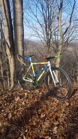 User picture