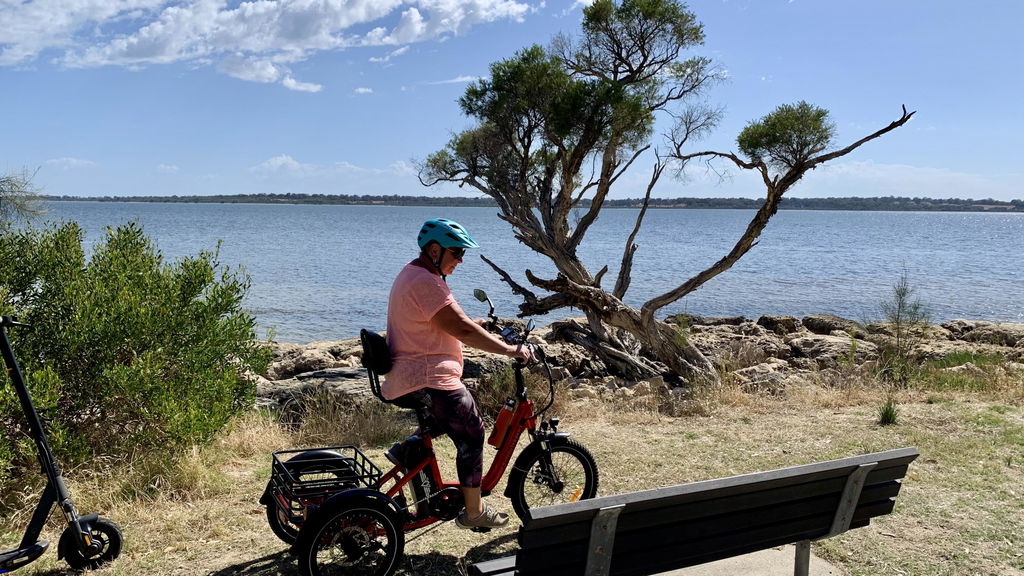 Citytri E-310 Foldable eTrike