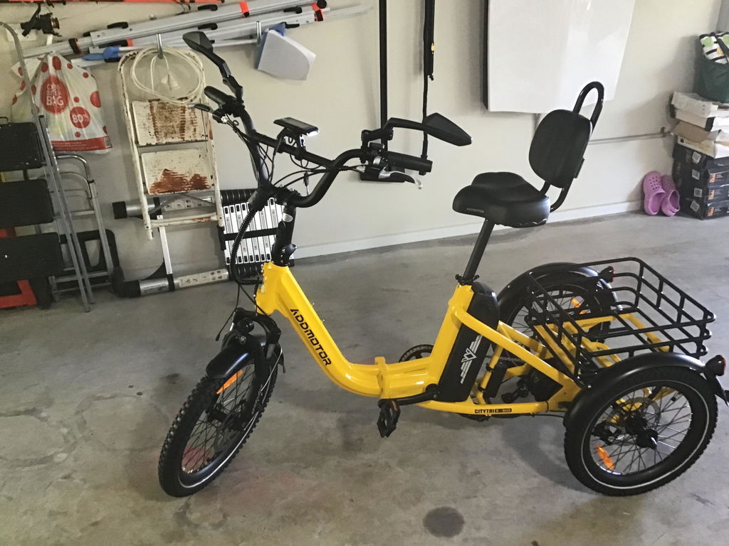 Citytri E-310 Foldable eTrike