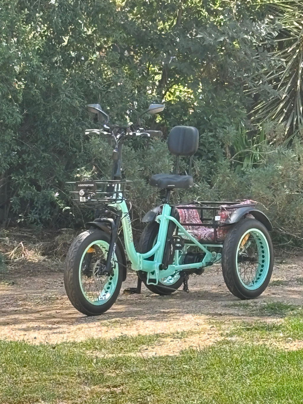 Triketan M-330F Folding eTrike