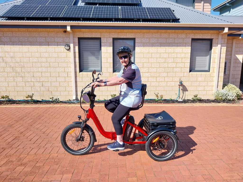 Citytri E-310 Foldable eTrike