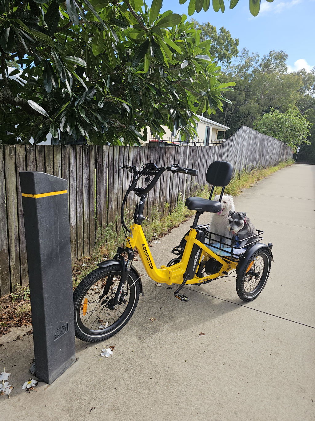 Citytri E-310 Foldable eTrike