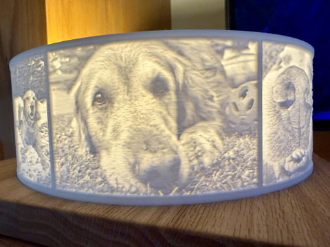 Halo Grande Canvas