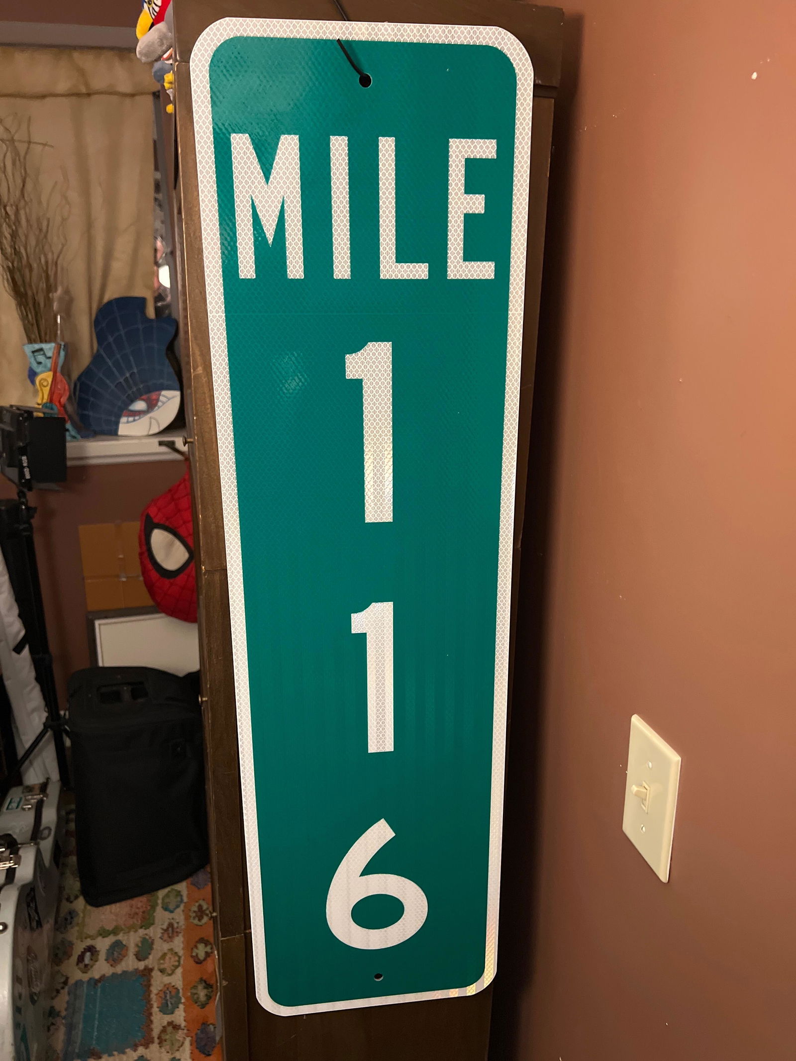 R8-3 No Parking Sign