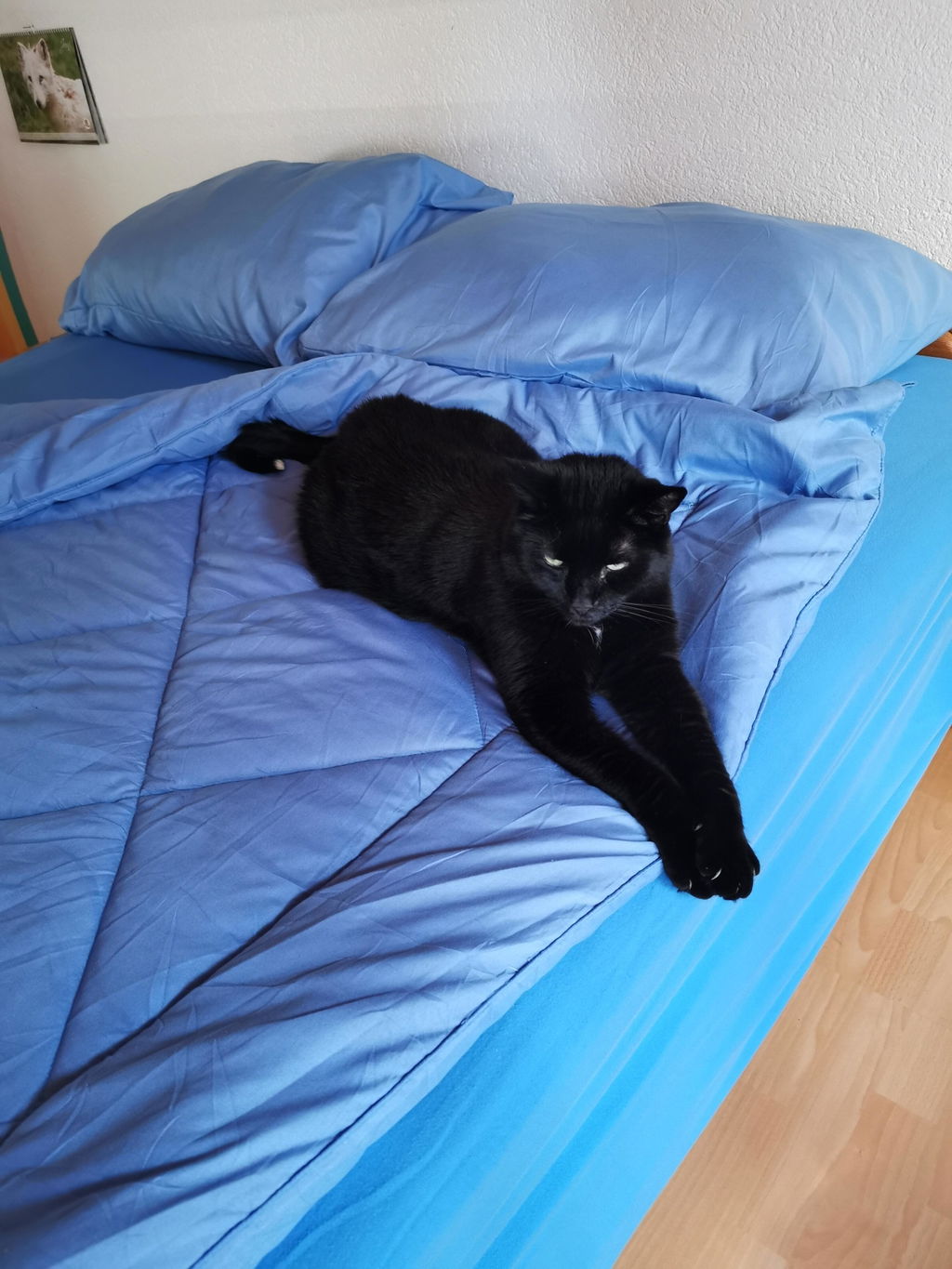 EasyComfort Kundenbild 1