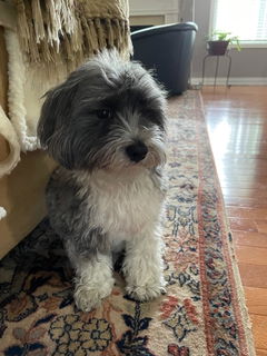 Review picture