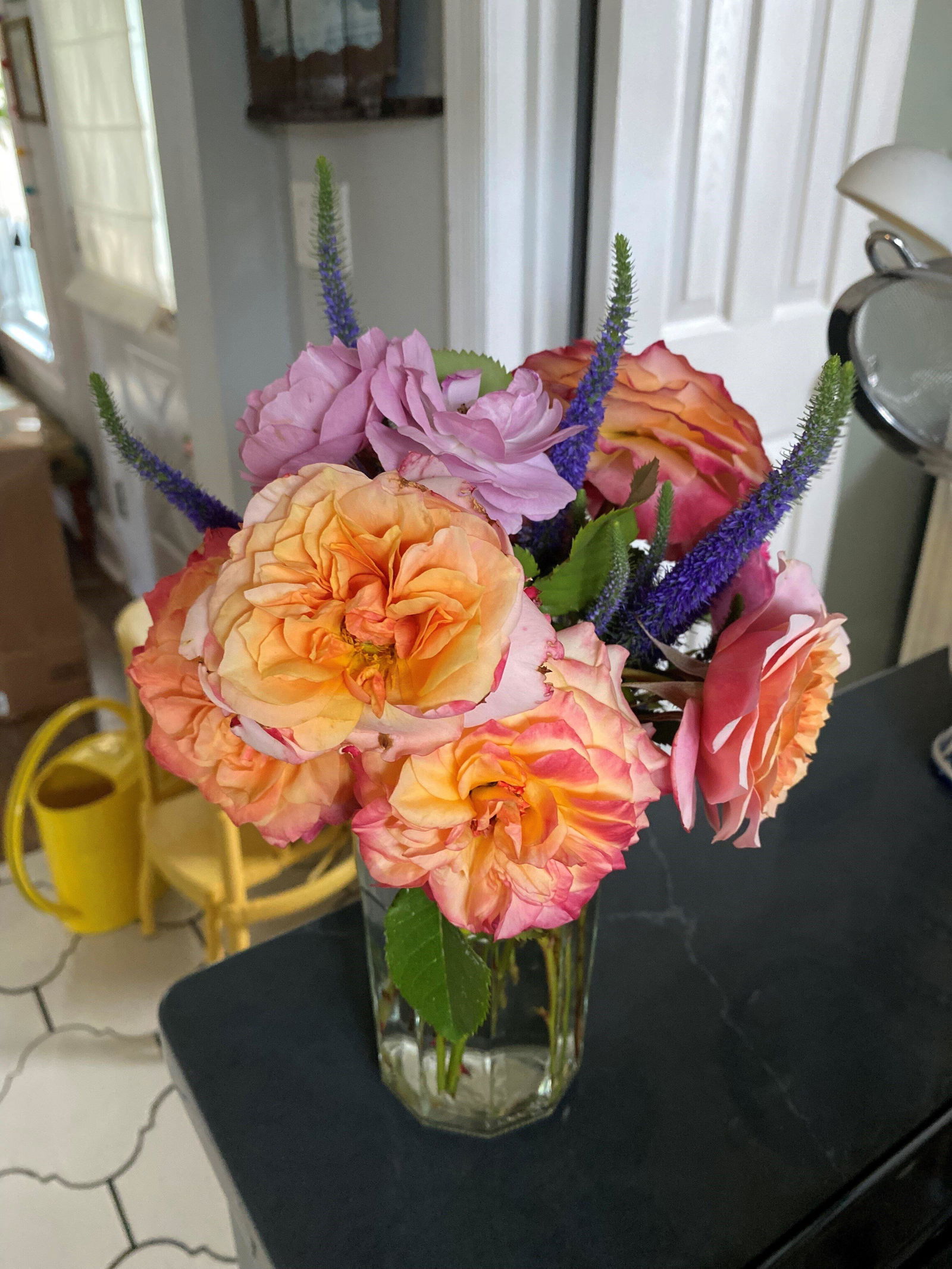 Rose(中古品) Crazy Love™ - Sunbelt® – Antique Rose Emporium