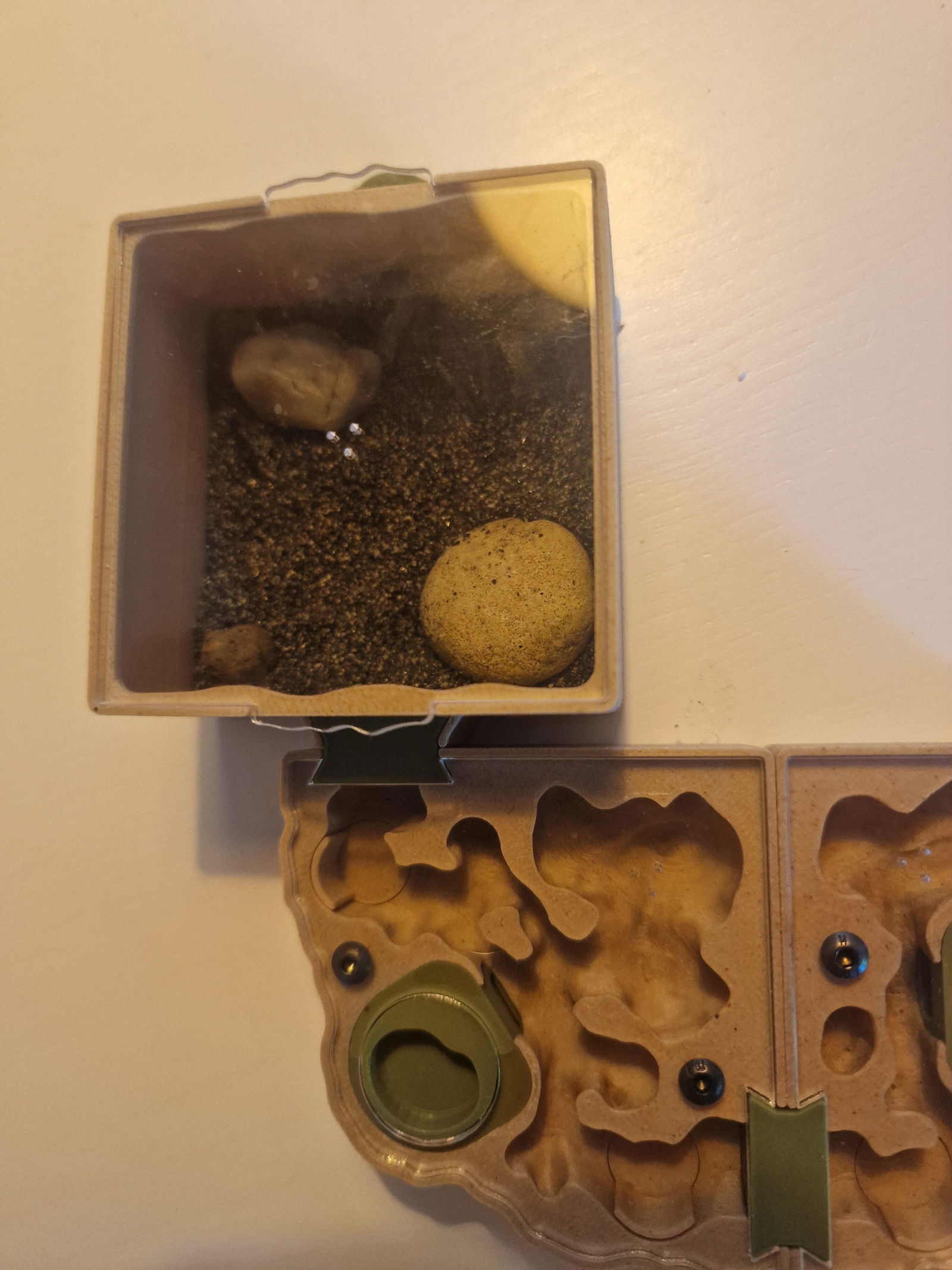 Antkeeping Starter Pack (Ant Farm + Outworld) – AntKeepers