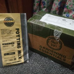 Review picture