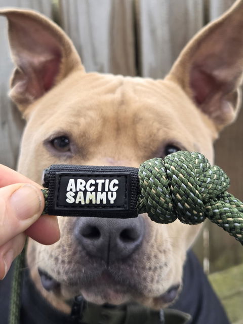 Remutaka Dog Slip Leash