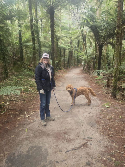 Benmore Trail Runner Handsfree Dog Leash