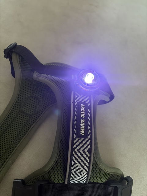 LED Dog Collar Light
