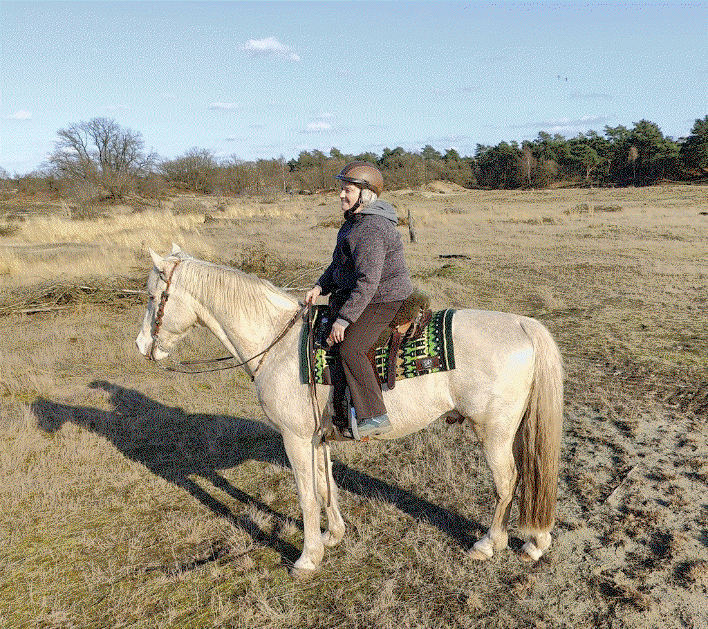 Premium | Western hoofdstel | Emerald Resolve