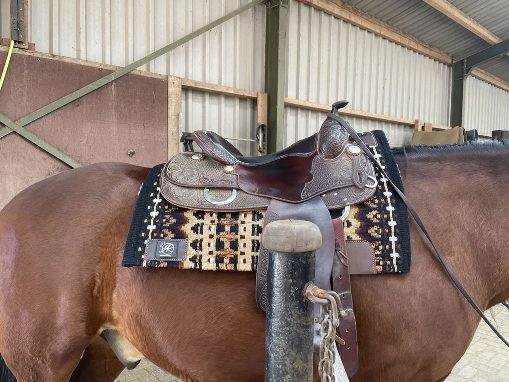 2in1 Show | contoured western pad | Wild Honey -SOLD OUT