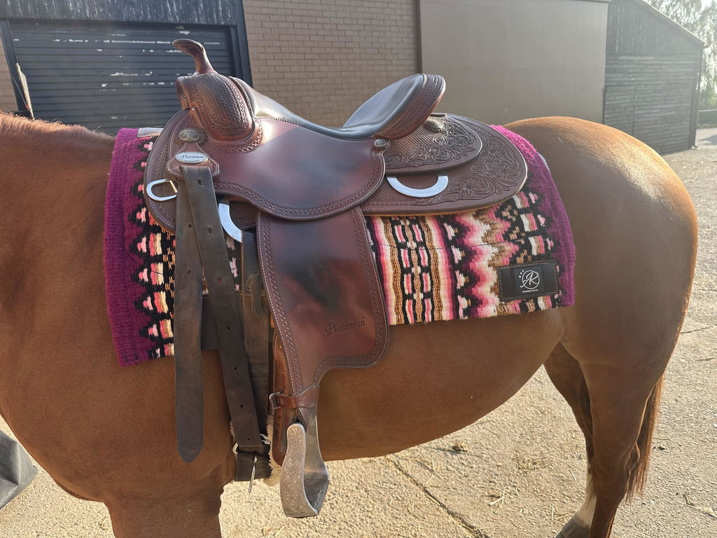 2in1 Show | contoured western pad | Berry Love -SOLD OUT