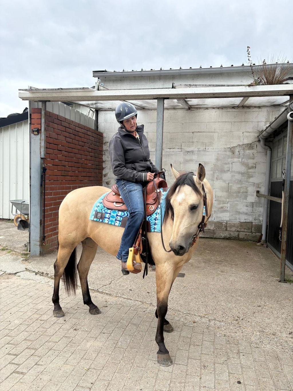 2in1 Show Pad | SHORT | contoured western pad | Morning Sky