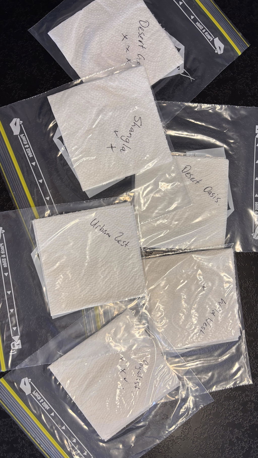FRAGRANCE DISCOVERY SET - 10 PACK