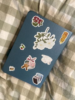 Review picture