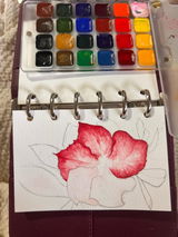 Nomad Watercolor Kit