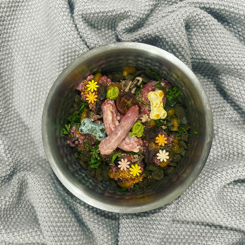 Canine Country BARF Portion Tray 1kg