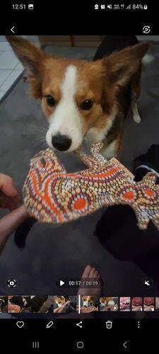 Outback Tails Toy Desert Dog Chew Toy
