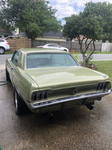 User picture