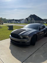 User picture