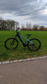 User picture