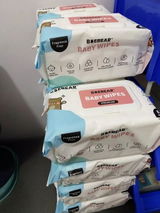 Baebear Singapore