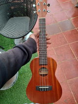 User picture