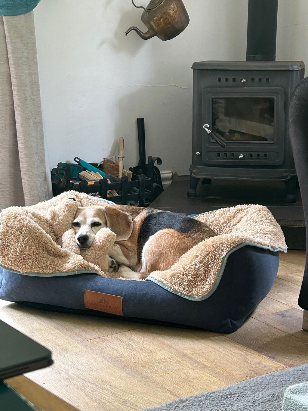The Comfort - Eco Friendly Orthopaedic Luxury Dog Bed, Navy Blue