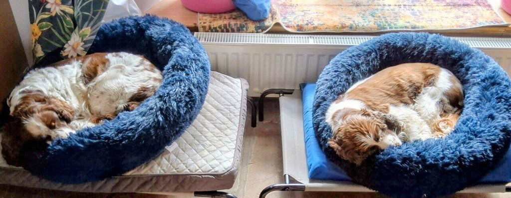 The Donut - Eco Friendly Luxury Calming Donut Dog Bed, Navy